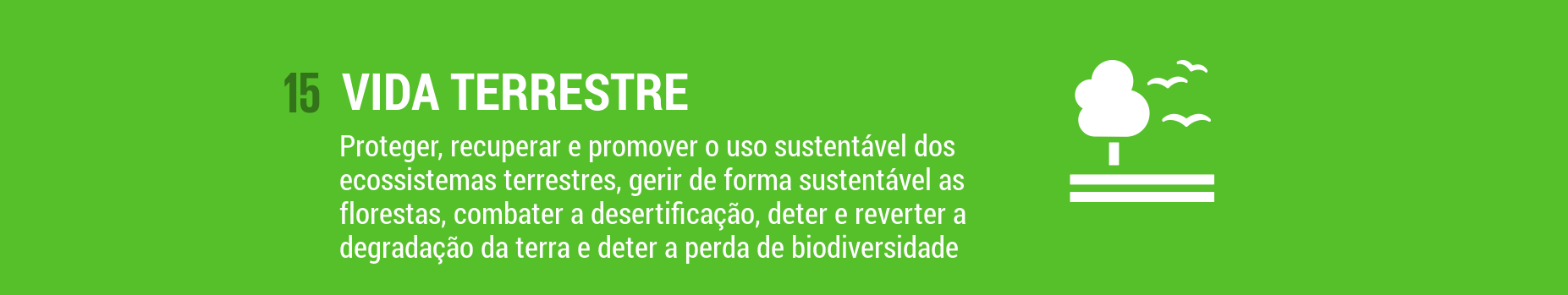 ODS 15